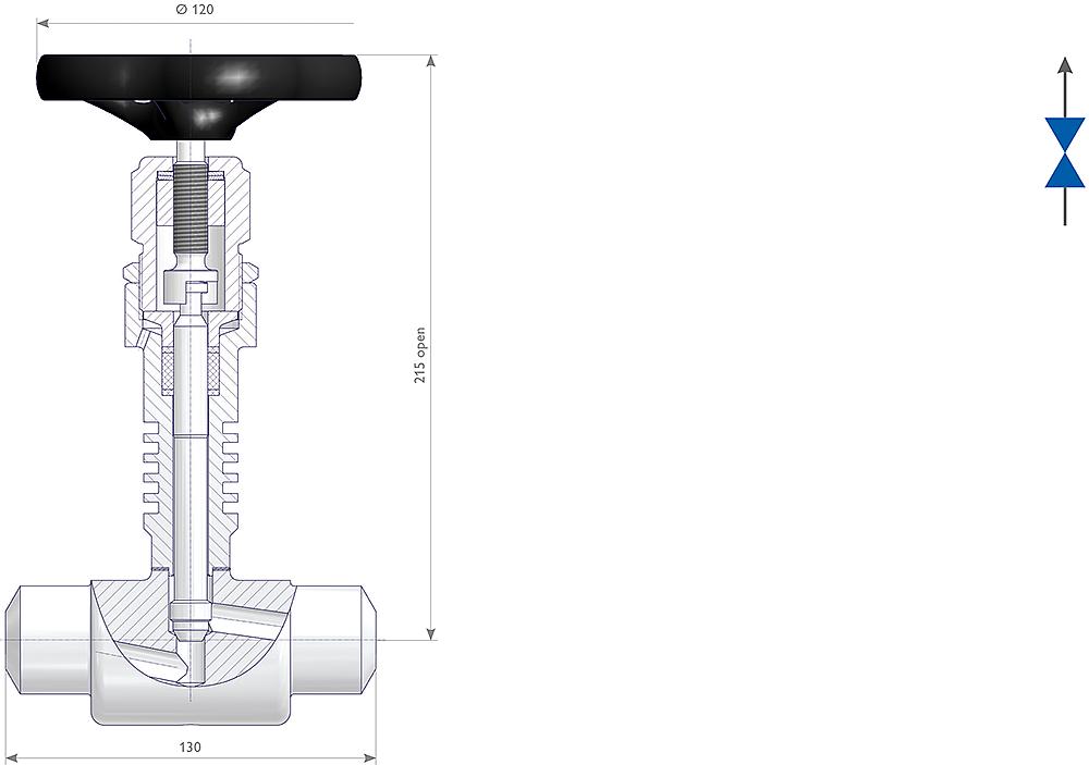 Welded Bonnet Needle Valves Drawing (arrangement) 1