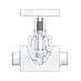 Union Bonnet Needle Valves Standard 2