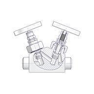 Union Bonnet Tandem Valves