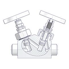 Union Bonnet Tandem Valves Standard 2