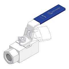 High Pressure Ball Valves Standard 5