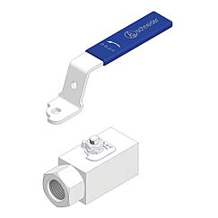 High Pressure Ball Valves Standard 5