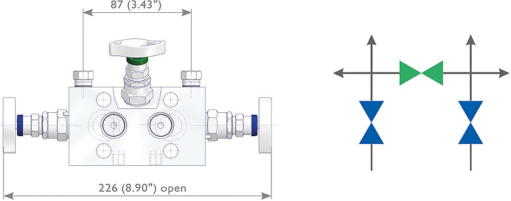 3 Valve Manifolds Drawing (arrangement) 2