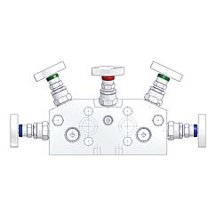 5 Valve Manifolds Standard 1