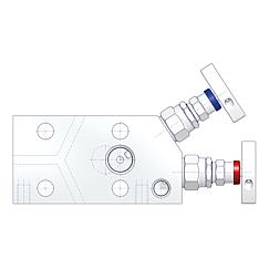 2 Valve Manifolds Standard 3