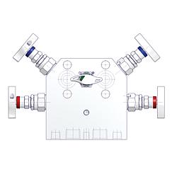 5 Valve Manifolds Standard 3