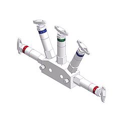 Nuclear Manifolds  Standard 3