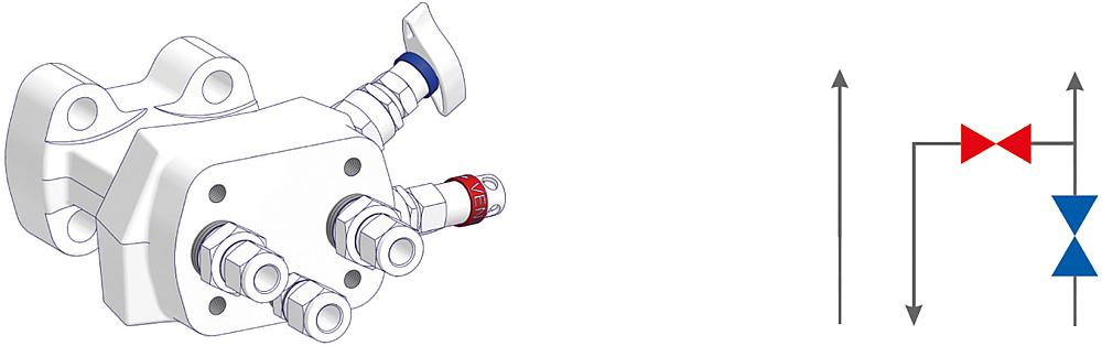 2 Valve Manifolds Drawing (arrangement) 1