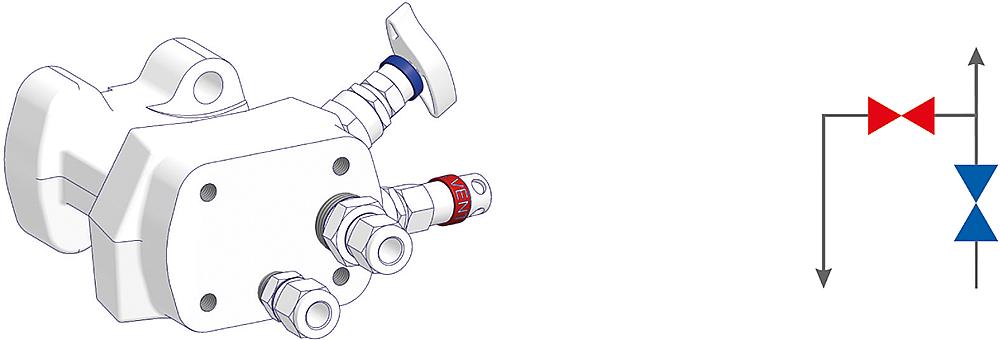 2 Valve Manifolds Drawing (arrangement)