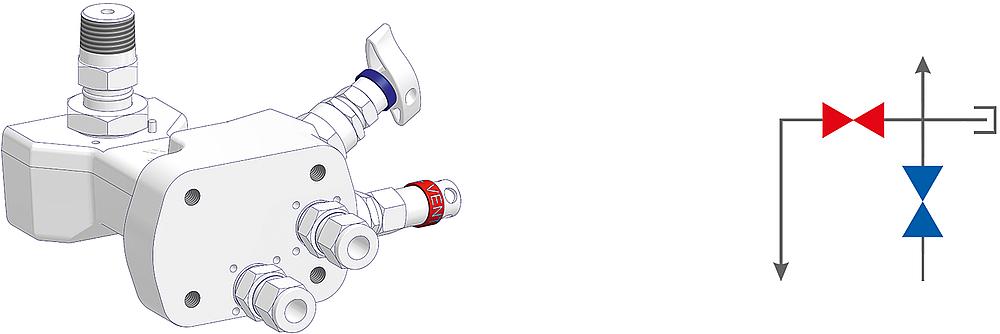 2 Valve Manifolds Drawing (arrangement)