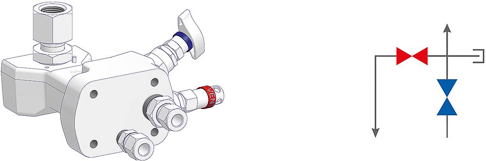 2 Valve Manifolds Drawing (arrangement)