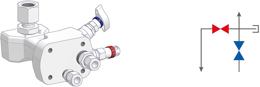 2 Valve Manifolds Drawing (arrangement)