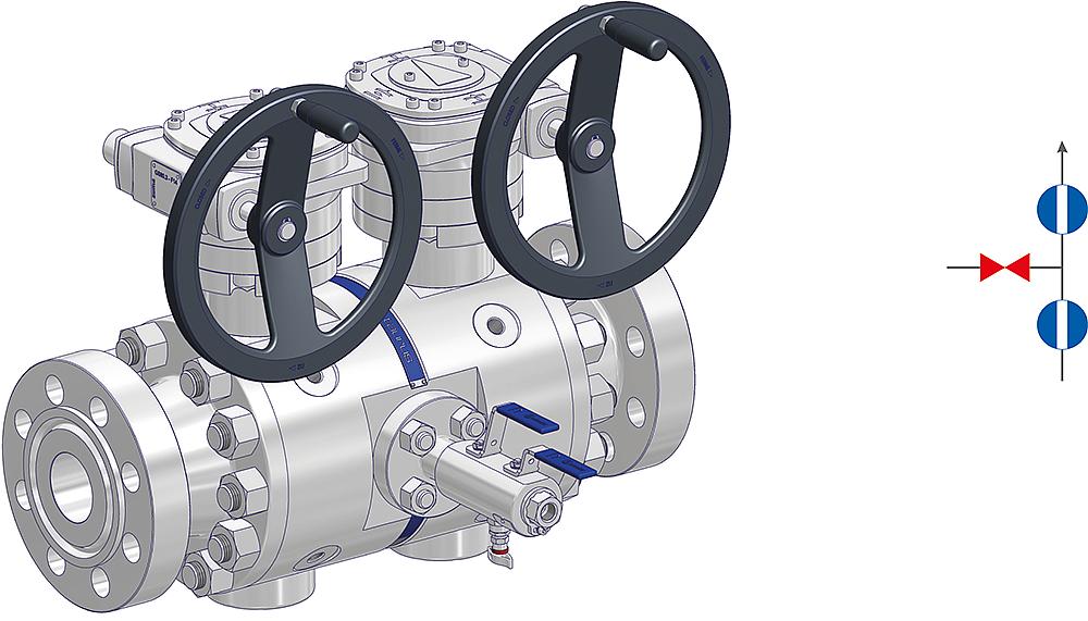 Double Block & Bleed Piping Ball Valves  Drawing (arrangement) 1