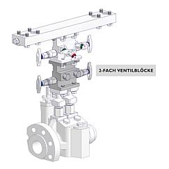 2-fach Ventilblöcke Standard