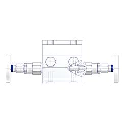 2 Valve Manifolds Standard