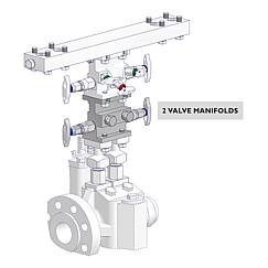 2 Valve Manifolds Standard