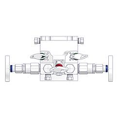 5 Valve Manifolds Standard