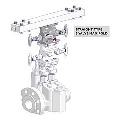 5 Valve Manifolds Standard