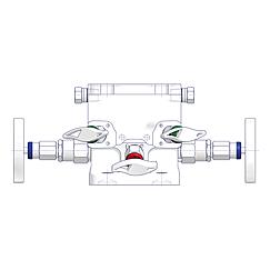 5 Valve Manifolds Standard 2