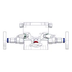 5 Valve Manifolds  Standard 2