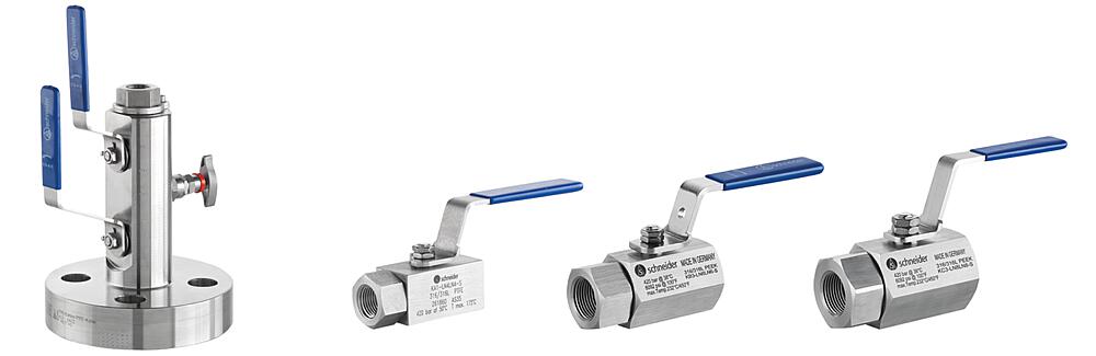 Instrumentation Valves and DBB Valves for use with Fugitive Emissions Drawing (arrangement)