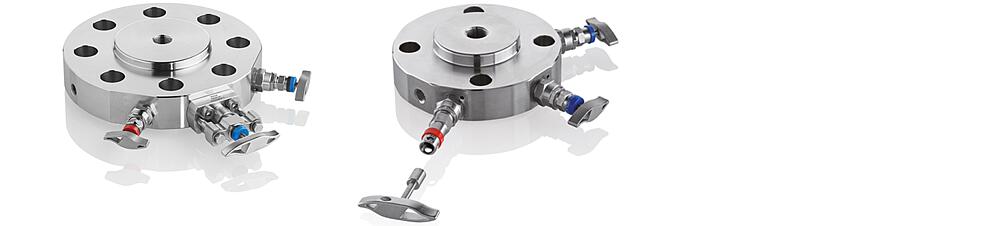 Instrumentation Valves and DBB Valves for use with Fugitive Emissions Drawing (arrangement)